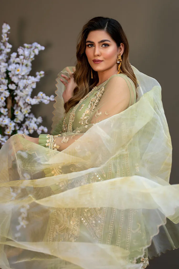 Ahmad Raza - Afsana Pret Collection - AR2055