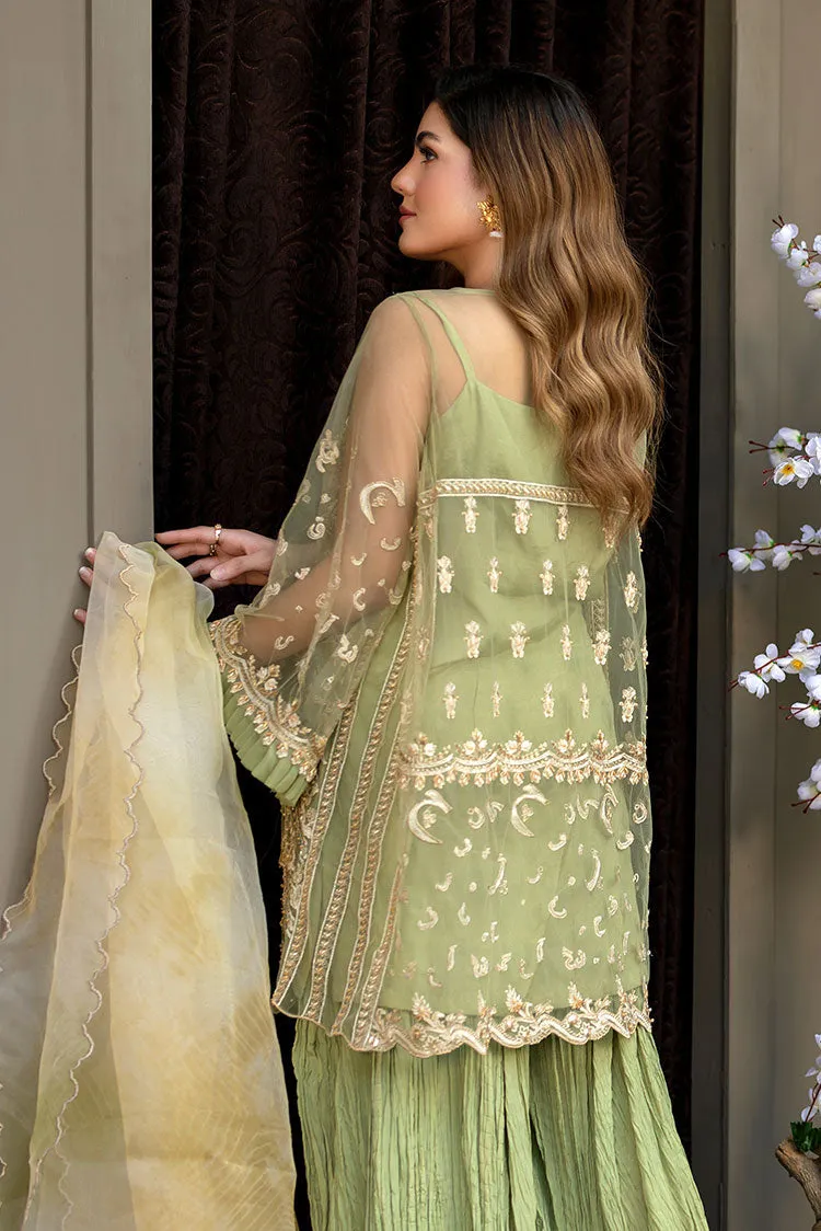 Ahmad Raza - Afsana Pret Collection - AR2055